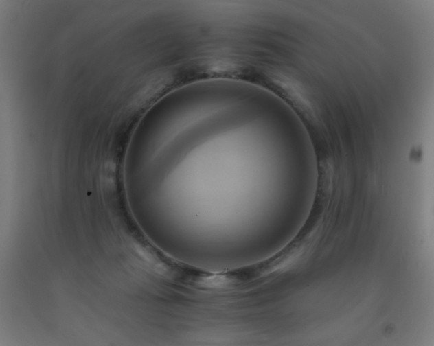 X0000093240269200709261714
