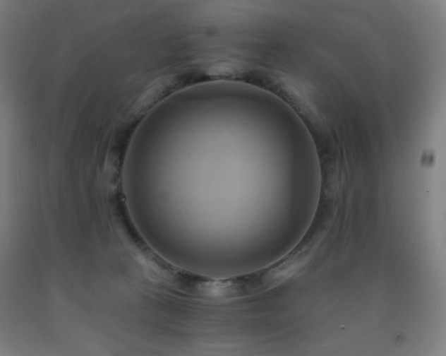 X0000093240273200709261714