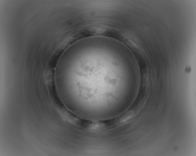 X0000093240274200709261714