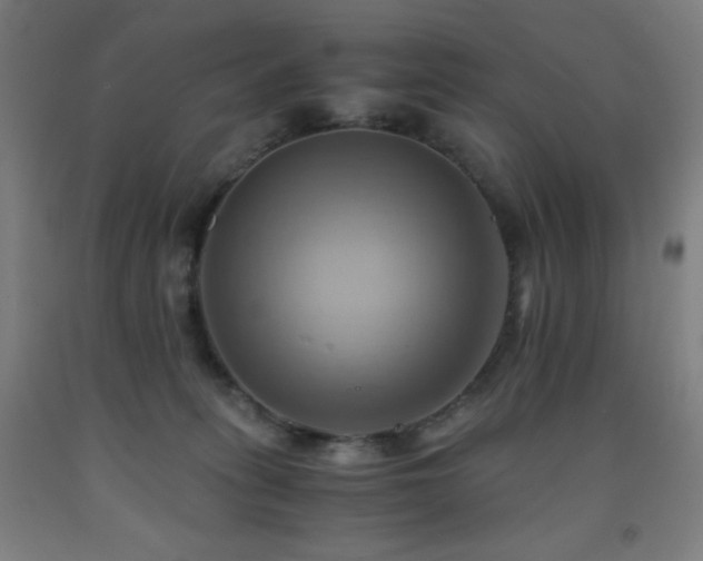 X0000093240275200709261714