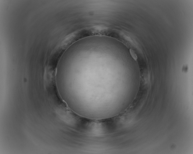 X0000093240276200709261714