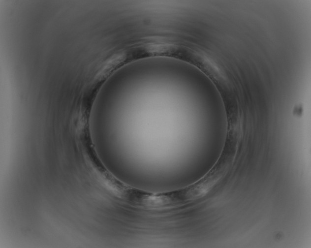 X0000093240277200709261714