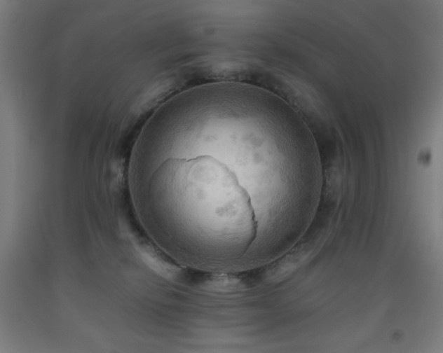 X0000093240278200709261714