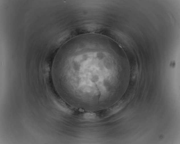 X0000093240279200709261714