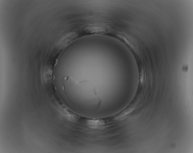 X0000093240281200709261714