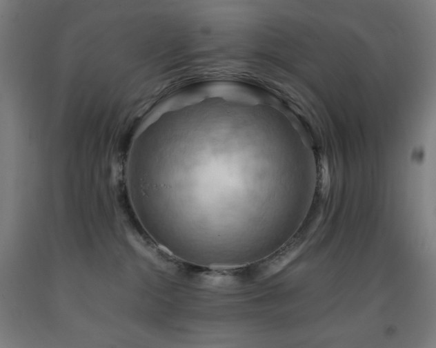 X0000093240284200709261715