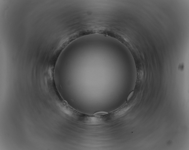 X0000093240286200709261715