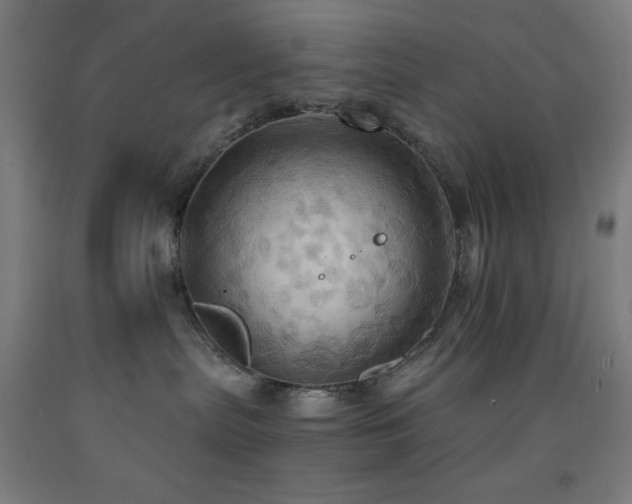 X0000093240287200709261715