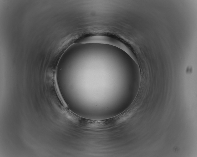 X0000093240288200709261715