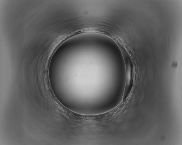 X0000093240289200709261714