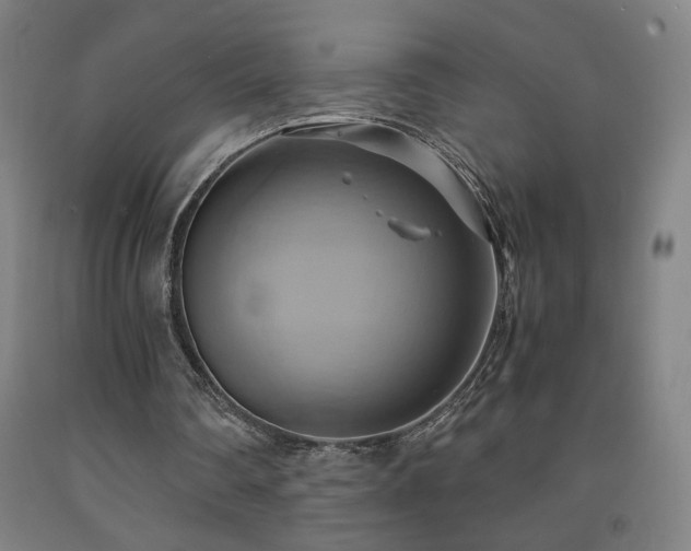 X0000093240290200709261714