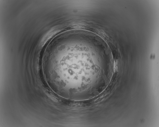 X0000093240291200709261714