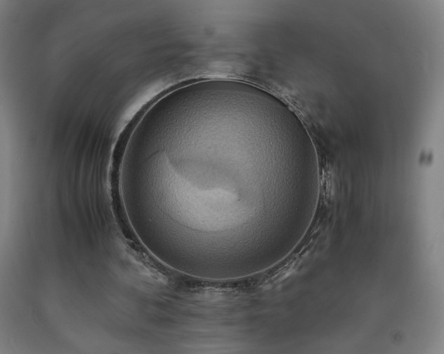 X0000093240292200709261714