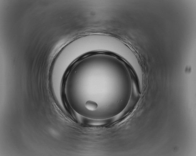 X0000093240293200709261714