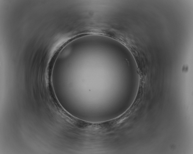 X0000093240294200709261714