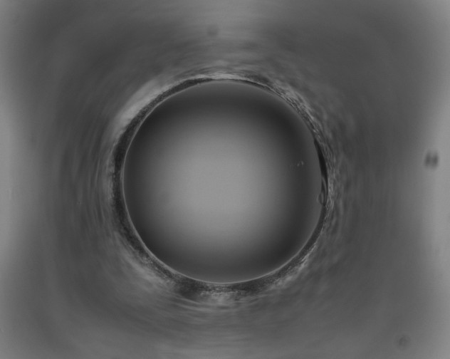 X0000093240295200709261714