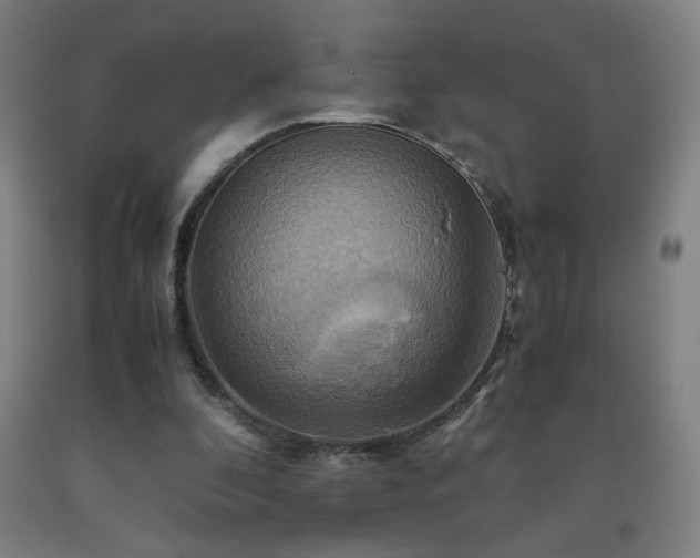 X0000093240296200709261714