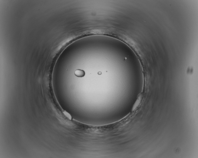 X0000093240297200709261714
