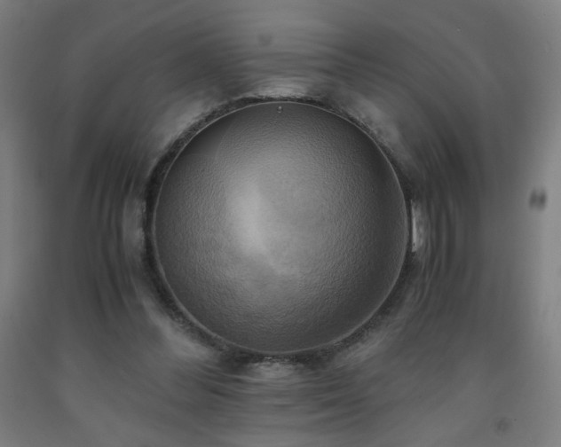 X0000093240300200709261714