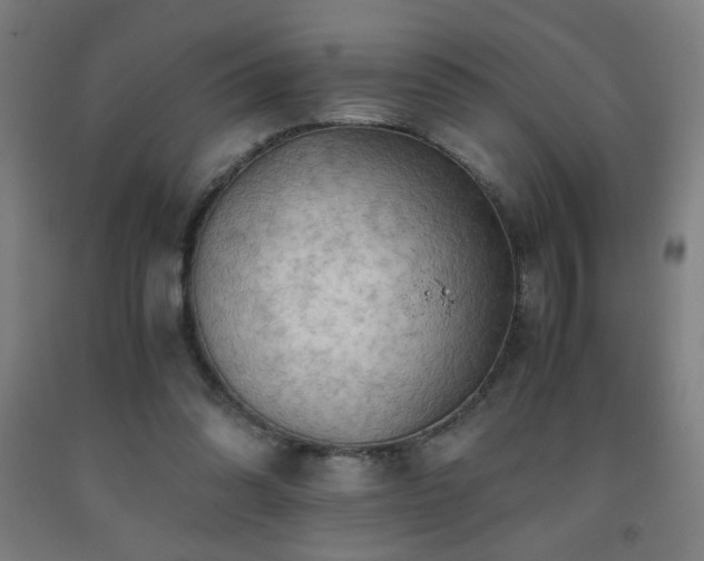 X0000093240302200709261714