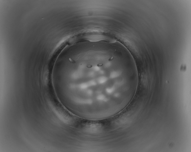 X0000093240304200709261714