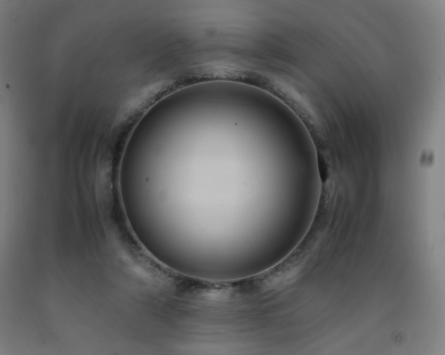 X0000093240306200709261714