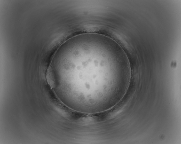 X0000093240307200709261714