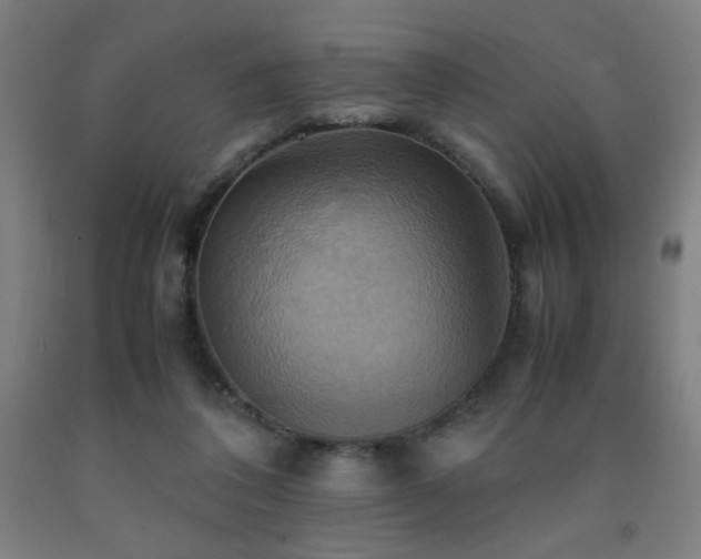 X0000093240308200709261714