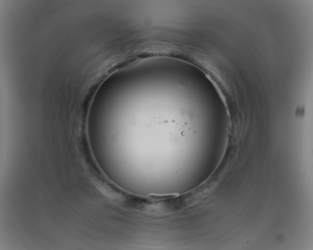 X0000093240309200709261714