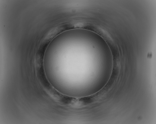X0000093240311200709261714
