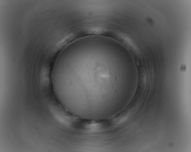 X0000093240312200709261714
