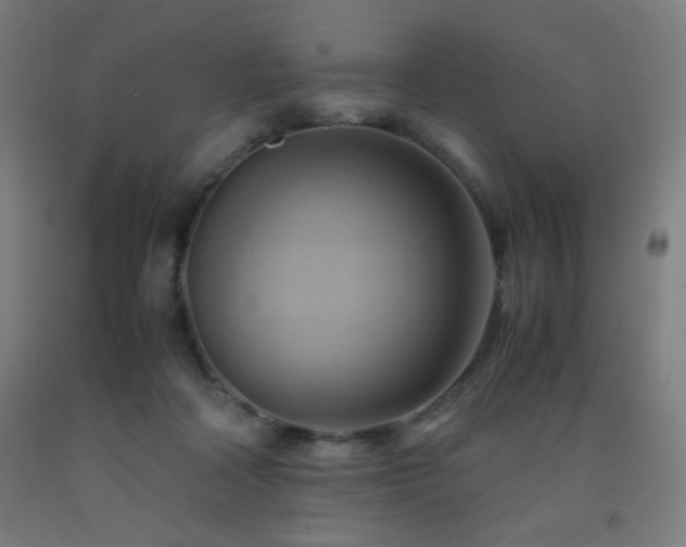X0000093240314200709261714