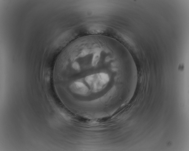 X0000093240315200709261714