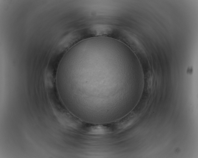 X0000093240316200709261714
