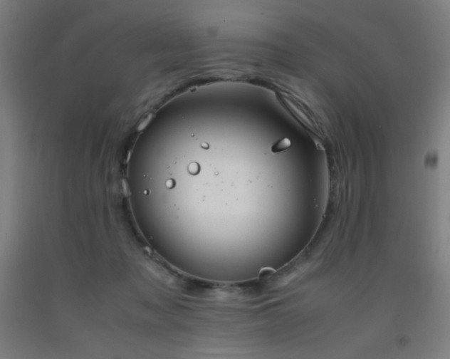 X0000093240317200709261714