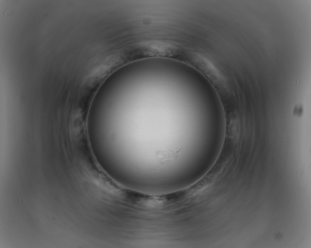 X0000093240318200709261714