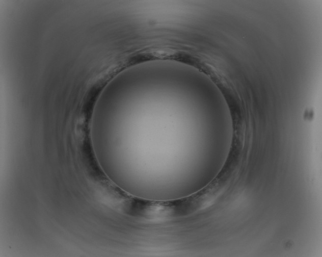 X0000093240319200709261714