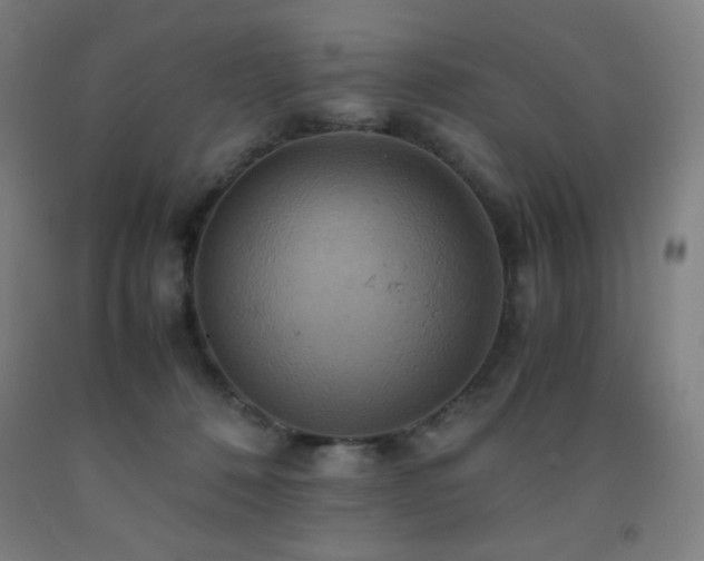 X0000093240320200709261714