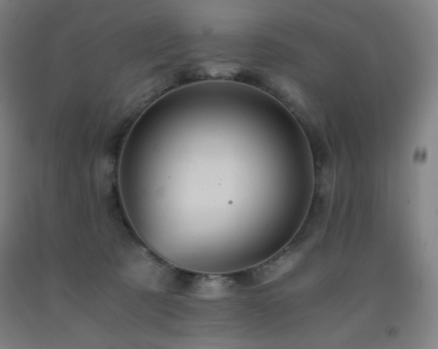 X0000093240321200709261714