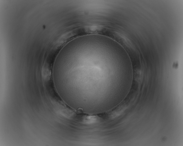X0000093240324200709261713