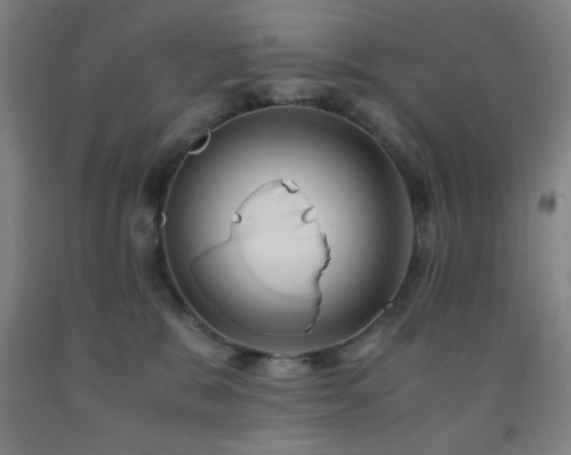 X0000093240327200709261713