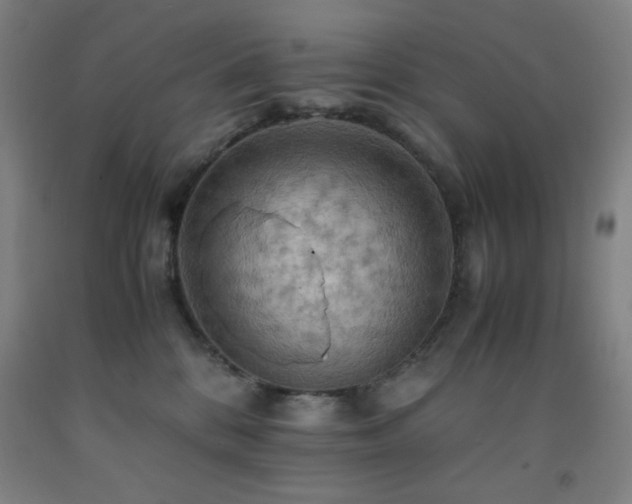 X0000093240328200709261713