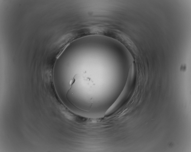 X0000093240329200709261713
