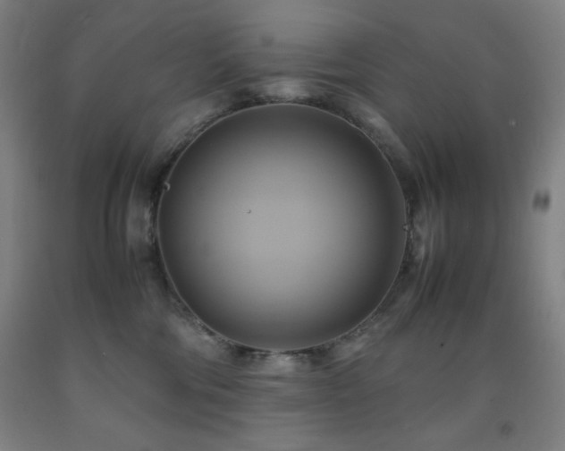 X0000093240330200709261713