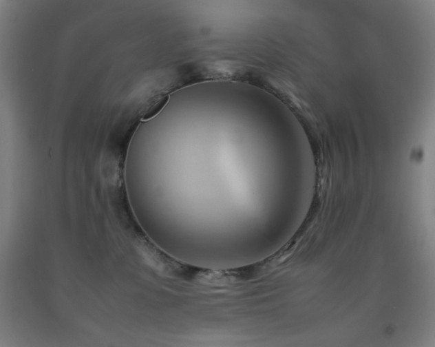 X0000093240331200709261713