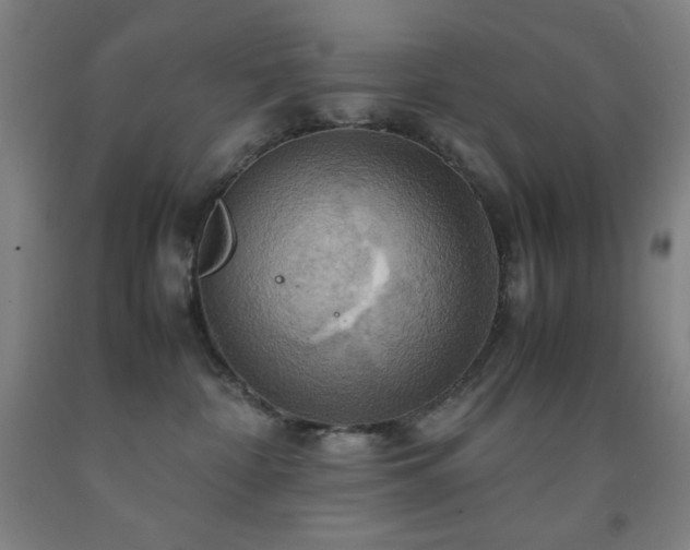 X0000093240332200709261713