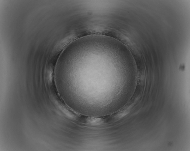 X0000093240334200709261713