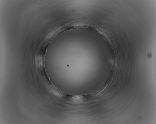 X0000093240335200709261713