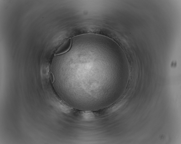X0000093240336200709261713