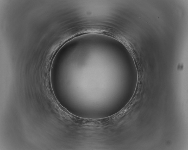 X0000093240337200709261713